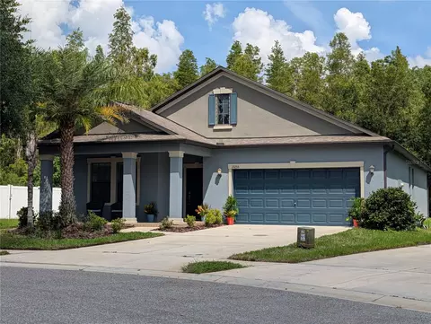 19255 Alexandrea Lee Ct, Land O Lakes, FL 34638