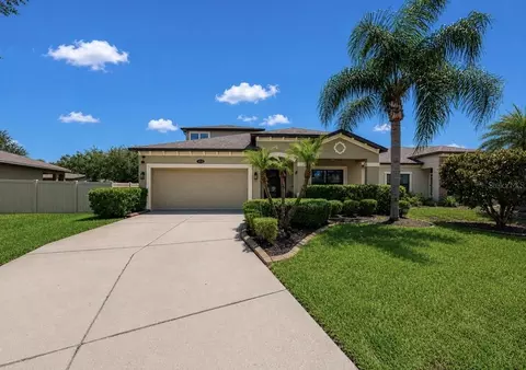 Exterior - 11510 Scarlet Ibis Pl, Riverview, FL 33569 photo 11 of 13
