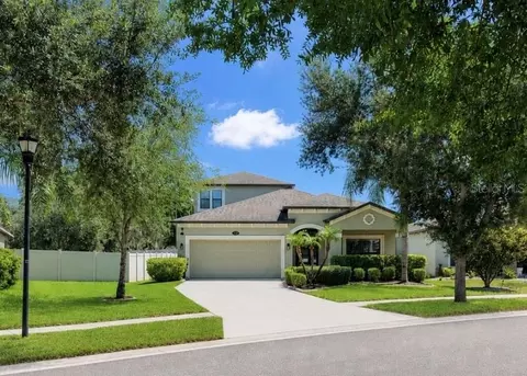 Exterior - 11510 Scarlet Ibis Pl, Riverview, FL 33569 photo 12 of 13