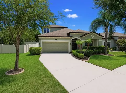 Exterior - 11510 Scarlet Ibis Pl, Riverview, FL 33569 photo 10 of 13