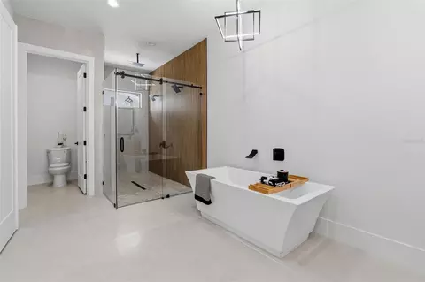 Bath - 2914 W Walnut St, Tampa, FL 33607 photo 3 of 9