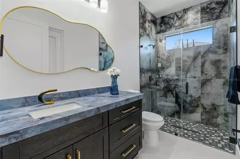 Bath - 2914 W Walnut St, Tampa, FL 33607 photo 6 of 9