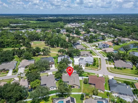 View/Area - 2317 Eagle Bluff Dr, Valrico, FL 33596 photo 5 of 6