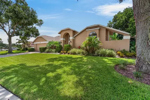 Exterior - 2317 Eagle Bluff Dr, Valrico, FL 33596 photo 16 of 16