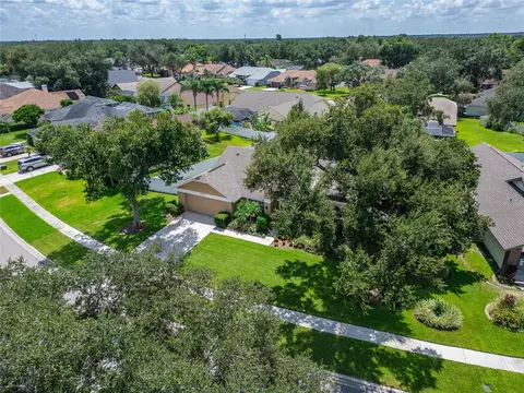 View/Area - 2317 Eagle Bluff Dr, Valrico, FL 33596 photo 3 of 6