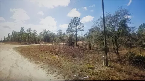 Tinamou Avenue, Weeki Wachee, FL 34614