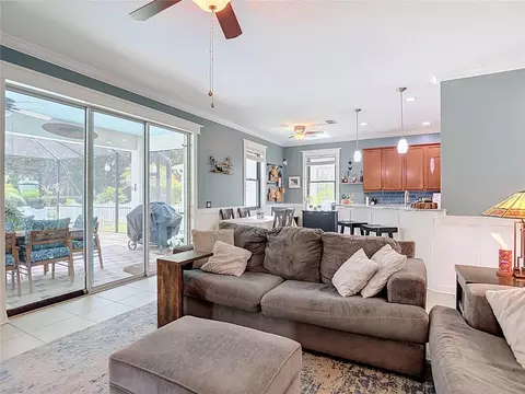 Living - 12820 Solola Way, New Port Richey, FL 34655 photo 5 of 5