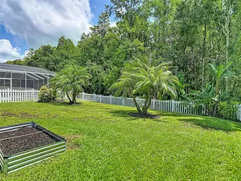 Exterior - 12820 Solola Way, New Port Richey, FL 34655 photo 11 of 16