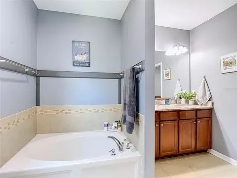 Bath - 12820 Solola Way, New Port Richey, FL 34655 photo 10 of 13