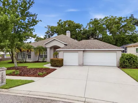 14902 Devonshire Woods Pl, Tampa, FL 33624