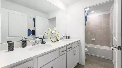 Bath - 3613 Ambersweet Xing, Parrish, FL 34219 photo 4 of 5