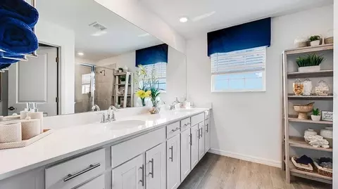 Bath - 3613 Ambersweet Xing, Parrish, FL 34219 photo 1 of 5