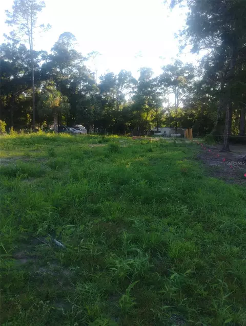 587 Marshburn Dr, Bronson, FL 32621 photo 5