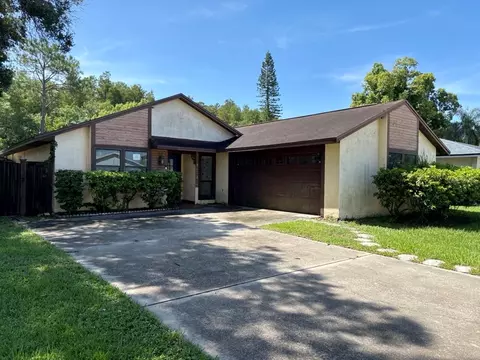4604 Ridge Pt, Tampa, FL 33624