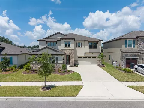 Exterior - 12962 Steed Trace Loop, Lithia, FL 33547 photo 10 of 10