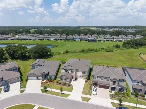 View/Area - 12962 Steed Trace Loop, Lithia, FL 33547 photo 3 of 6