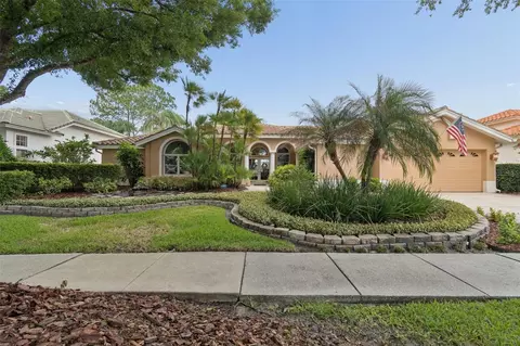 17714 Grey Eagle Rd, Tampa, FL 33647