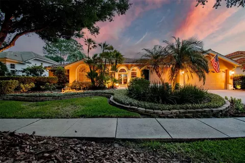 17714 Grey Eagle Rd, Tampa, FL 33647