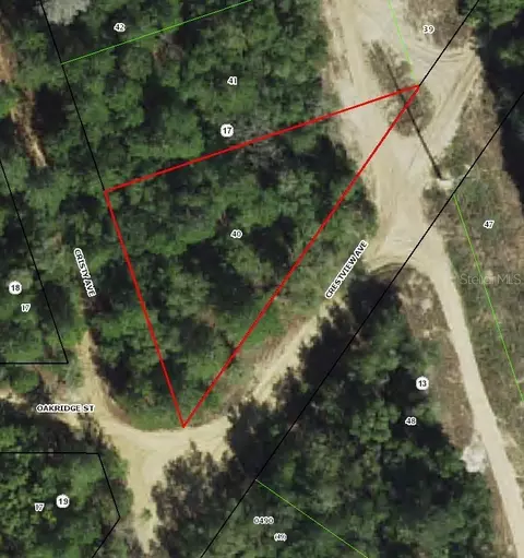 112 S Crestview Ave, Inverness, FL 34452