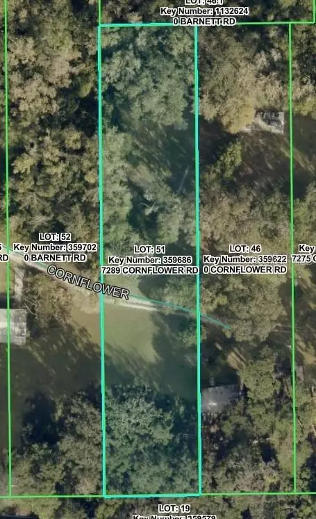 7289 Cornflower Rd, Brooksville, FL 34601