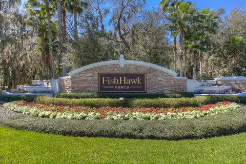 View/Area - 6105 Gannetside Pl, Lithia, FL 33547 photo 1 of 1
