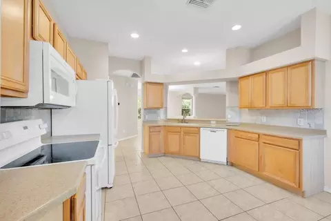 Kitchen - 6105 Gannetside Pl, Lithia, FL 33547 photo 3 of 3