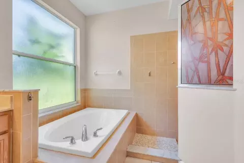 Bath - 6105 Gannetside Pl, Lithia, FL 33547 photo 3 of 4