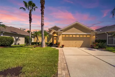 23737 Estero Ct, Land O Lakes, FL 34639