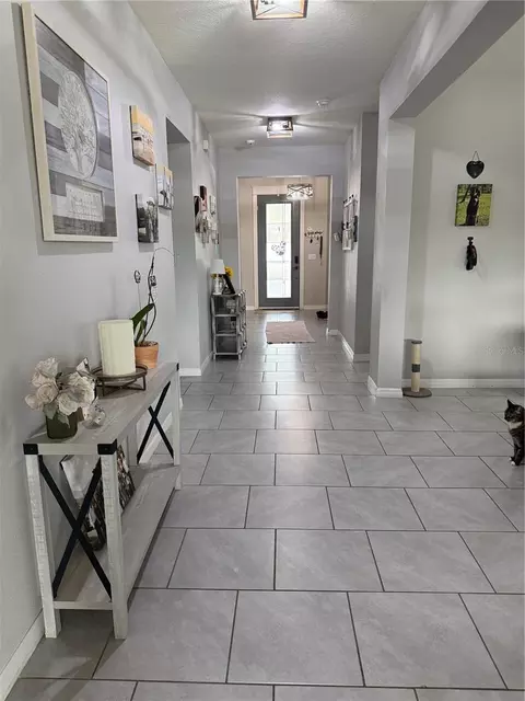 Entry Way - 13021 Willow Grove Dr, Riverview, FL 33579 photo 2 of 2