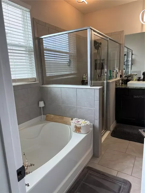 Bath - 13021 Willow Grove Dr, Riverview, FL 33579 photo 2 of 7
