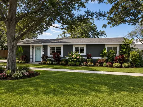 401 Patica Rd NE, Saint Petersburg, FL 33702