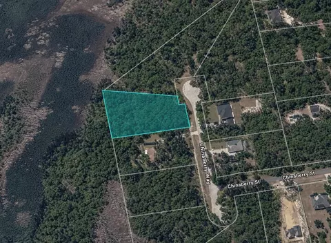 Chinaberry Way, Eustis, FL 32736 photo 2