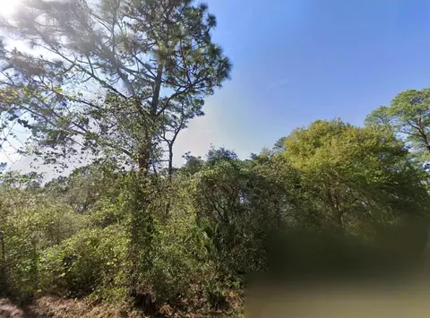 Chinaberry Way, Eustis, FL 32736 photo 3