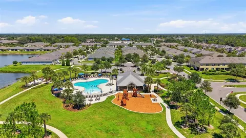 View/Area - 11752 Cambium Crown Dr, Riverview, FL 33569 photo 3 of 4