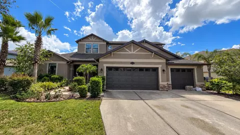 10619 Mistflower Ln, Tampa, FL 33647