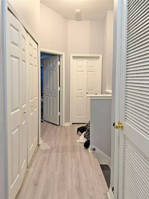 Entry Way - 6225 Olivedale Dr, Riverview, FL 33578 photo 1 of 1