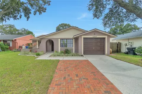 12447 Mondragon Dr, Tampa, FL 33625