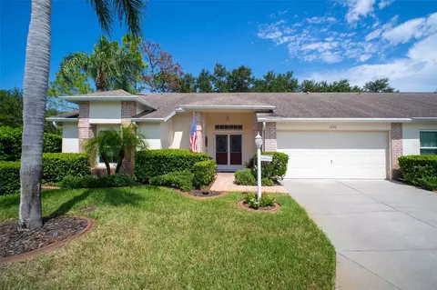 1236 Flora Vista St, Trinity, FL 34655