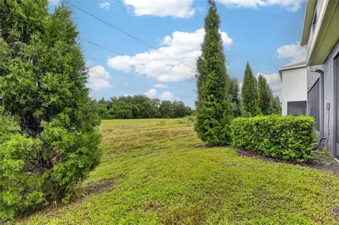 Exterior - 8669 Falling Blue Pl, Riverview, FL 33578 photo 7 of 10