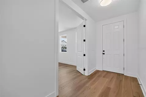 Entry Way - 30106 Emerald Forest Dr, Mount Dora, FL 32757 photo 1 of 4