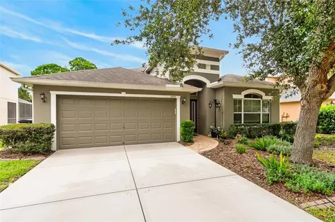 11231 Belle Haven Dr, New Port Richey, FL 34654