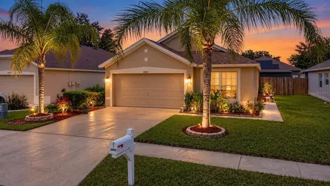24443 Summer Wind Ct, Lutz, FL 33559
