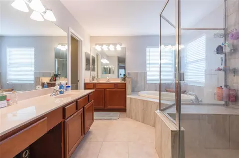 Bath - 9046 Pinebreeze Dr, Riverview, FL 33578 photo 2 of 4