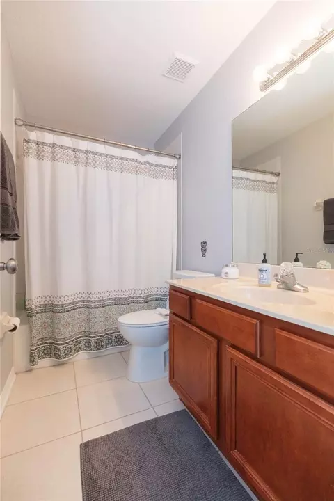 Bath - 9046 Pinebreeze Dr, Riverview, FL 33578 photo 4 of 4