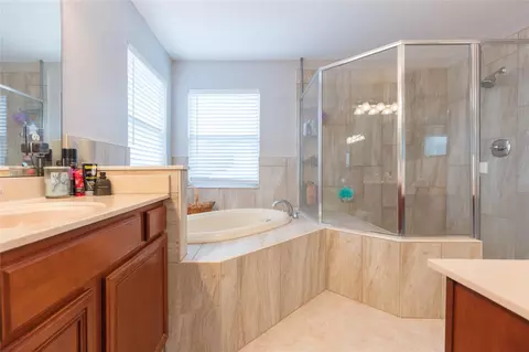 Bath - 9046 Pinebreeze Dr, Riverview, FL 33578 photo 3 of 4