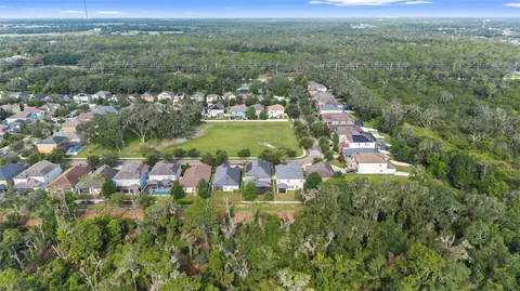 View/Area - 14242 Blue Dasher Dr, Riverview, FL 33569 photo 5 of 8