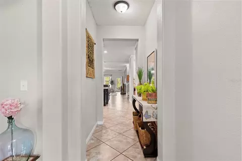 Entry Way - 14242 Blue Dasher Dr, Riverview, FL 33569 photo 1 of 6