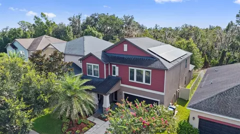 View/Area - 14242 Blue Dasher Dr, Riverview, FL 33569 photo 2 of 8
