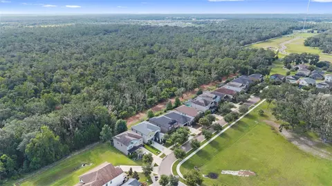 View/Area - 14242 Blue Dasher Dr, Riverview, FL 33569 photo 7 of 8