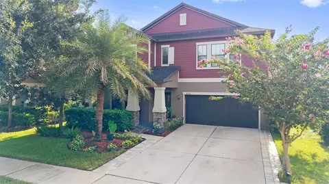 Exterior - 14242 Blue Dasher Dr, Riverview, FL 33569 photo 7 of 7